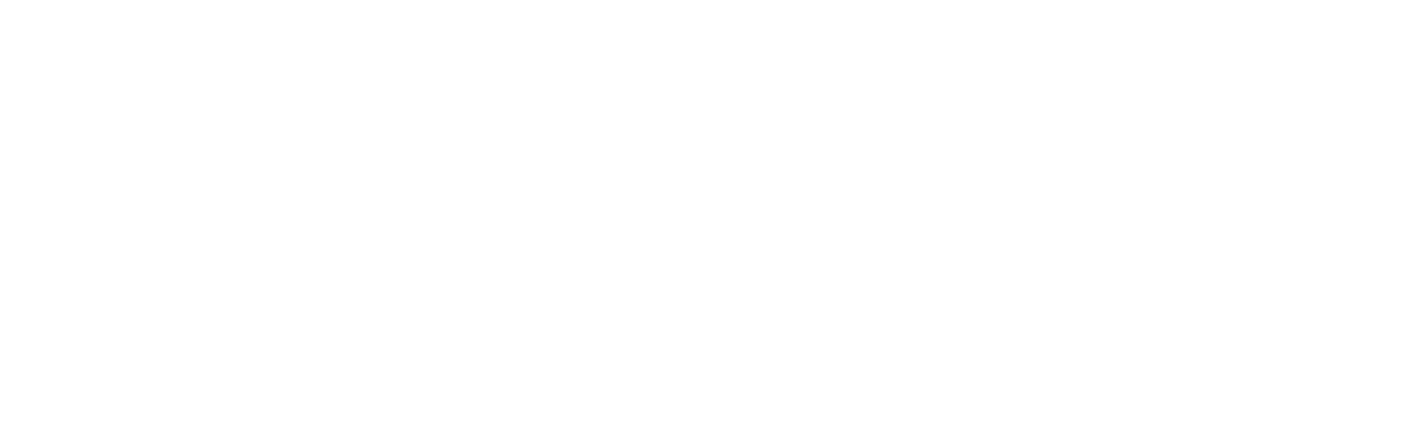 footer-logo